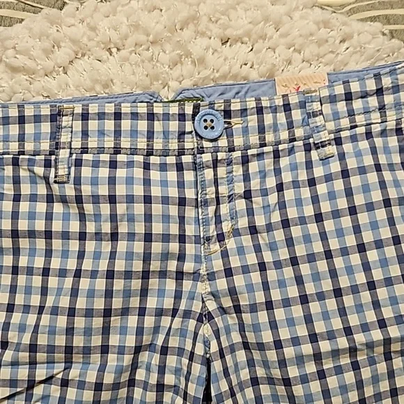 American Eagle Shorts - Picture 2 of 16